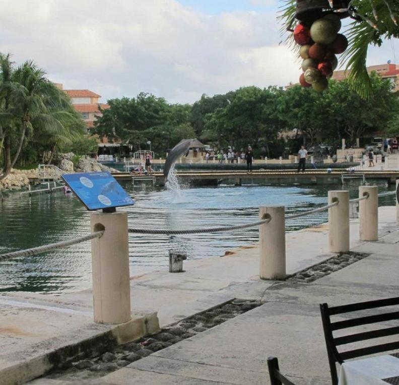 Puerto Aventuras, Departamento A Unos Pasos De La Playa Leilighet Eksteriør bilde
