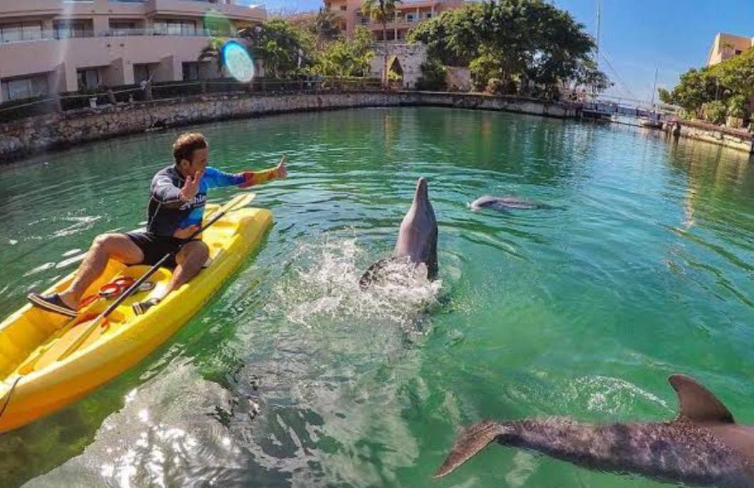 Puerto Aventuras, Departamento A Unos Pasos De La Playa Leilighet Eksteriør bilde